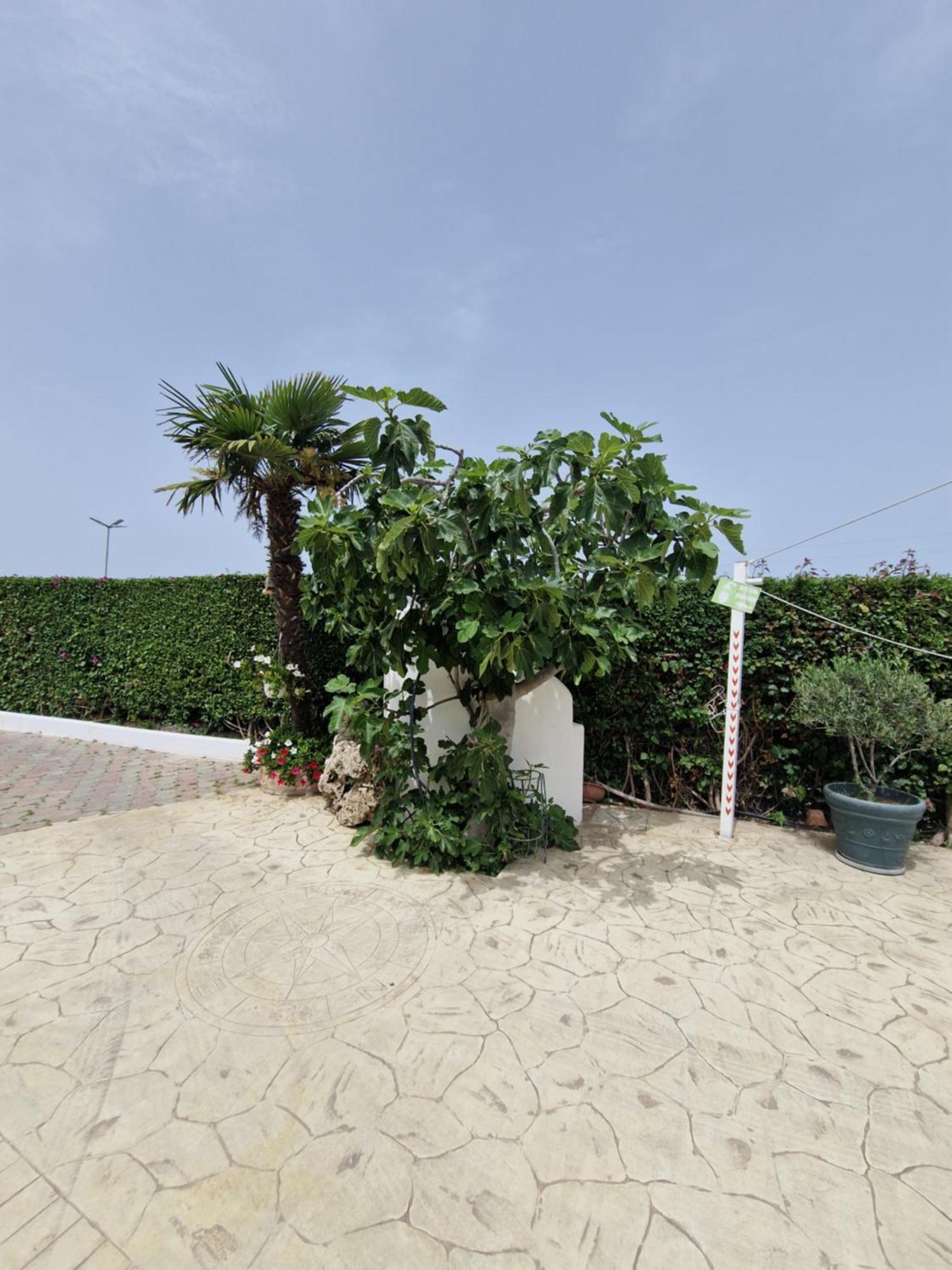 Santa Venere Apartments "Parcheggio Privato Moto-Auto" Ricarica Auto Elettriche Tropea Exteriér fotografie
