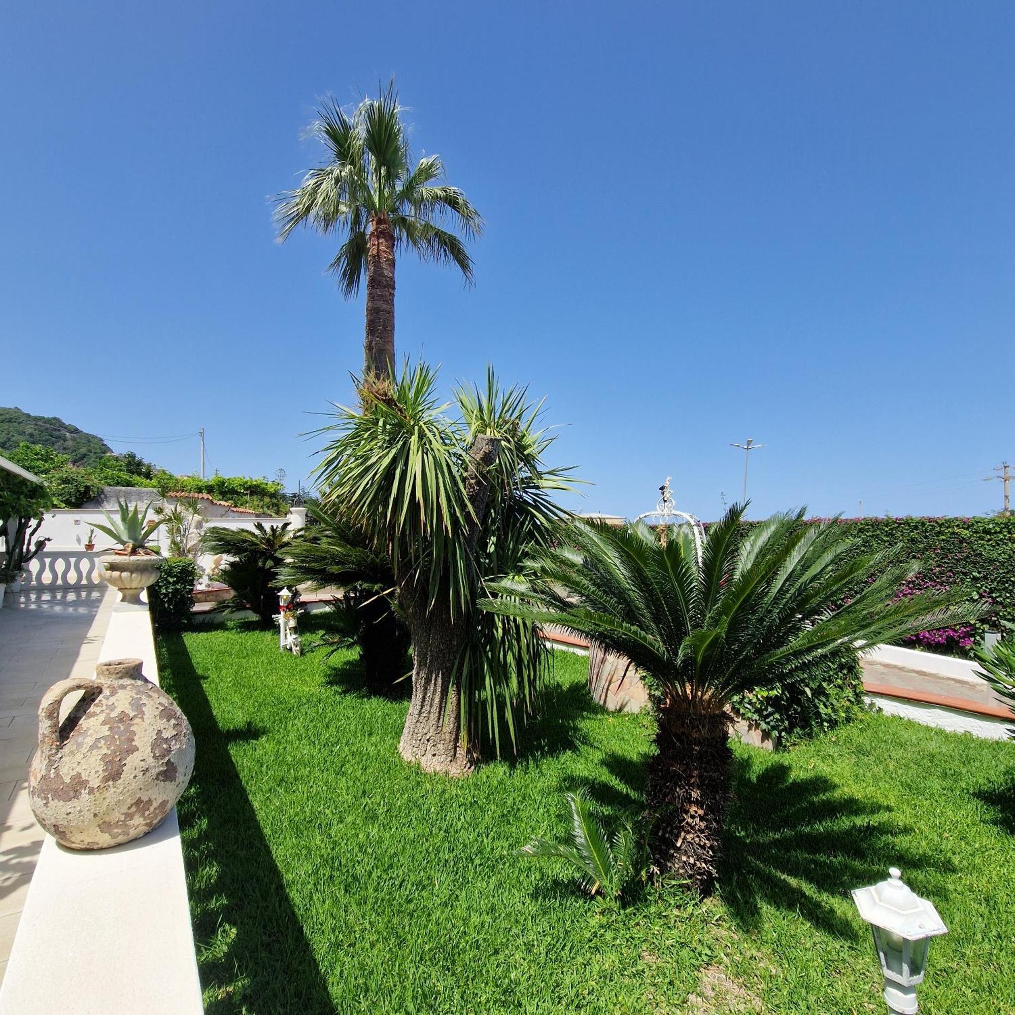 Santa Venere Apartments "Parcheggio Privato Moto-Auto" Ricarica Auto Elettriche Tropea Exteriér fotografie